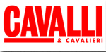 cavalli e cavalieri
