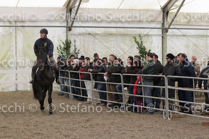 Teresino_ANAM2010_SS3_8936.jpg