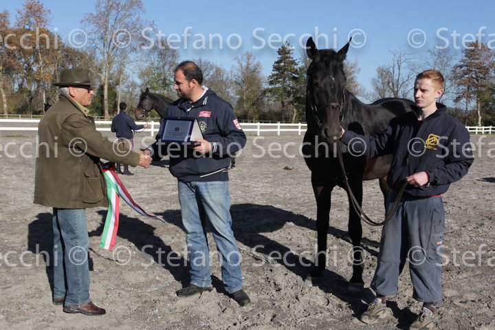 Teresino_ANAM2010_SS3_9490.jpg
