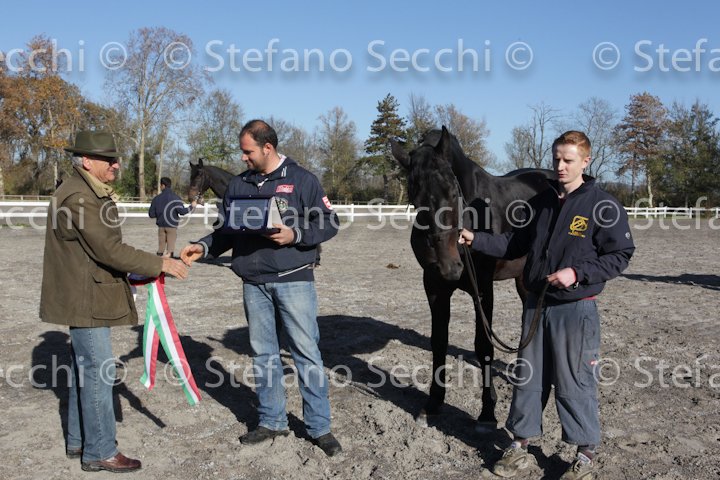 Teresino_ANAM2010_SS3_9493.jpg