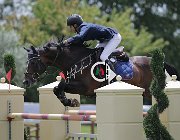 Agosta Argento CsioArJYR SS7 7517 : Agosta Renato, Argento de Sabuci, CSIO Giovani Arezzo, foto Stefano Secchi ©