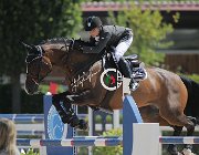 Alfieri Carmona CsioArJYR SS7 7147 : Alfieri Marco, CSIO Giovani Arezzo, Carmona, foto Stefano Secchi ©