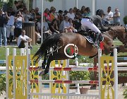 Alfieri Carmona CsioArJYR SS7 7150 : Alfieri Marco, CSIO Giovani Arezzo, Carmona, foto Stefano Secchi ©