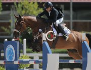 Antoniou Ascot CsioArJYR SS7 7081 : Antoniou Antonios, Ascot ms, CSIO Giovani Arezzo, foto Stefano Secchi ©