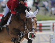Antoniou Ascot CsioArJYR SS7 7087 : CSIO Giovani Arezzo, Luciano, Say Kumru, foto Stefano Secchi ©