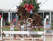 Barbadoro Regal CsioArJYR SS7 7260 : Barbadoro Lorenzo, CSIO Giovani Arezzo, Regal de Ligny, foto Stefano Secchi ©