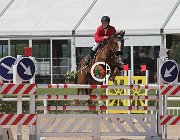 Barbadoro Regal CsioArJYR SS7 7261 : Barbadoro Lorenzo, CSIO Giovani Arezzo, Regal de Ligny, foto Stefano Secchi ©