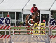 Barbadoro Regal CsioArJYR SS7 7262 : Barbadoro Lorenzo, CSIO Giovani Arezzo, Regal de Ligny, foto Stefano Secchi ©