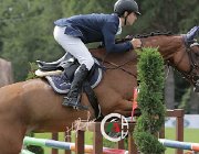 Bassan Bupina CsioArJYR SS7 8460 : Bassan Filippo, Bupina, CSIO Giovani Arezzo, foto Stefano Secchi ©