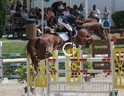 Bertolucci Victory CsioArJYR SS7 7171 : Bertolucci Lorenzo, CSIO Giovani Arezzo, Victory Prins, foto Stefano Secchi ©