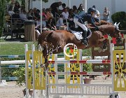 Bertolucci Victory CsioArJYR SS7 7172 : Bertolucci Lorenzo, CSIO Giovani Arezzo, Victory Prins, foto Stefano Secchi ©