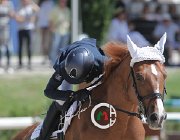 Bertolucci Victory CsioArJYR SS7 7175 : Bertolucci Lorenzo, CSIO Giovani Arezzo, Victory Prins, foto Stefano Secchi ©