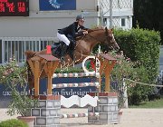 Betti Kalahari CsioArJYR SS7 8064 : Betti Viola Sofia, CSIO Giovani Arezzo, Kalahari Duke, foto Stefano Secchi ©