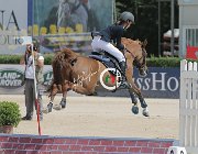 Betti Kalahari CsioArJYR SS7 8072 : Betti Viola Sofia, CSIO Giovani Arezzo, Kalahari Duke, foto Stefano Secchi ©