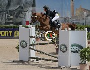 Betti Kalahari CsioArJYR SS7 8073 : Betti Viola Sofia, CSIO Giovani Arezzo, Kalahari Duke, foto Stefano Secchi ©