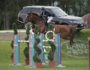 Bianchi Qandy CsioArJYR SS7 8348 : Bianchi Giorgio, CSIO Giovani Arezzo, Qandy de l'Ermitage, foto Stefano Secchi ©