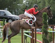 Bichsel Orlando CsioArJYR SS7 8353 : Bichsel Alessandra, CSIO Giovani Arezzo, Orlando de la Provillo, foto Stefano Secchi ©