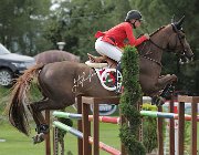Bichsel Orlando CsioArJYR SS7 8354 : Bichsel Alessandra, CSIO Giovani Arezzo, Orlando de la Provillo, foto Stefano Secchi ©