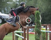 Bologni Amerigo CsioArJYR SS7 8360 : Bologni Filippo, CSIO Giovani Arezzo, Fixdesign Amerigo, foto Stefano Secchi ©