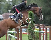 Bologni Amerigo CsioArJYR SS7 8361 : Bologni Filippo, CSIO Giovani Arezzo, Fixdesign Amerigo, foto Stefano Secchi ©