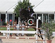 Bonan Acheo CsioArJYR SS7 7284 : Acheo di San Patrignano, Bonan Sky Nicholas, CSIO Giovani Arezzo, foto Stefano Secchi ©