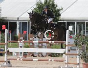 Bonan Acheo CsioArJYR SS7 7285 : Acheo di San Patrignano, Bonan Sky Nicholas, CSIO Giovani Arezzo, foto Stefano Secchi ©