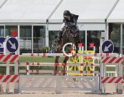 Bonan Acheo CsioArJYR SS7 7286 : Acheo di San Patrignano, Bonan Sky Nicholas, CSIO Giovani Arezzo, foto Stefano Secchi ©