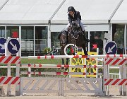 Bonan Acheo CsioArJYR SS7 7287 : Acheo di San Patrignano, Bonan Sky Nicholas, CSIO Giovani Arezzo, foto Stefano Secchi ©