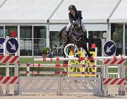 Bonan Acheo CsioArJYR SS7 7288 : Acheo di San Patrignano, Bonan Sky Nicholas, CSIO Giovani Arezzo, foto Stefano Secchi ©