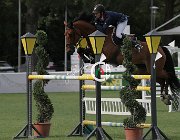 Bordat Quapitale CsioArJYR SS7 8476 : CSIO Giovani Arezzo, foto Stefano Secchi ©