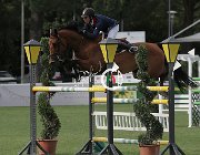 Bordat Quapitale CsioArJYR SS7 8477 : CSIO Giovani Arezzo, foto Stefano Secchi ©