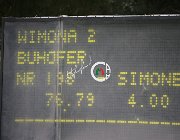 Buhofer Wimona CsioArJYR SS7 7822 : Buhofer Simone, CSIO Giovani Arezzo, Wimona, foto Stefano Secchi ©