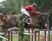 Callerio Darius CsioArJYR SS7 8260 : CSIO Giovani Arezzo, Callerio Niccolo, Darius, foto Stefano Secchi ©