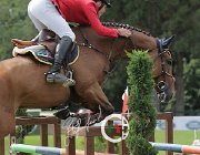 Campagnaro Rivage CsioArJYR SS7 8402 : CSIO Giovani Arezzo, Campagnaro Andrea, Rivage du Borda, foto Stefano Secchi ©