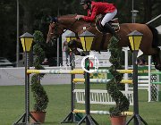 Campagnaro Rivage CsioArJYR SS7 8404 : CSIO Giovani Arezzo, Campagnaro Andrea, Rivage du Borda, foto Stefano Secchi ©