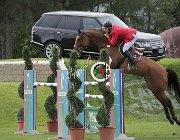 Campagnaro Rivage CsioArJYR SS7 8405 : CSIO Giovani Arezzo, Campagnaro Andrea, Rivage du Borda, foto Stefano Secchi ©
