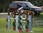 Carnejac Oselia CsioArJYR SS7 8490 : CSIO Giovani Arezzo, Carnejac Jules, Oselia de Locjean, foto Stefano Secchi ©