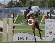 Cepollina Quirinus CsioArJYR SS7 7746 : CSIO Giovani Arezzo, Cepollina Nicole, Quirinus 15, foto Stefano Secchi ©