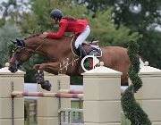 Codecasa Tayson CsioArJYR SS7 7686 : CSIO Giovani Arezzo, Codecasa Elena, Tayson, foto Stefano Secchi ©