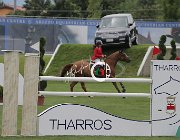 Codecasa Tayson CsioArJYR SS7 7692 : CSIO Giovani Arezzo, Codecasa Elena, Tayson, foto Stefano Secchi ©