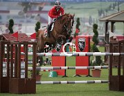 Dassio Massimina CsioArJYR SS7 7954 : CSIO Giovani Arezzo, Dassio Morgane, Massimina, foto Stefano Secchi ©