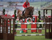 Dassio Massimina CsioArJYR SS7 7955 : CSIO Giovani Arezzo, Dassio Morgane, Massimina, foto Stefano Secchi ©