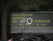 Dassio Massimina CsioArJYR SS7 7958 : CSIO Giovani Arezzo, Dassio Morgane, Massimina, foto Stefano Secchi ©