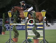 Garofalo Cipriano CsioArJYR SS7 8300 : CSIO Giovani Arezzo, Cipriano, Garofalo Giampiero, foto Stefano Secchi ©