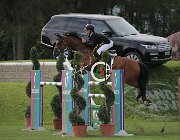 Garofalo Cipriano CsioArJYR SS7 8302 : CSIO Giovani Arezzo, Cipriano, Garofalo Giampiero, foto Stefano Secchi ©