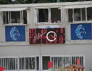 Jacobone Inka CsioArJYR SS7 8135 : CSIO Giovani Arezzo, Inka, Jacobone Federico, foto Stefano Secchi ©