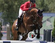 Kellnerova Kashmir CsioArJYR SS7 7344 : CSIO Giovani Arezzo, Kashmir, Kellnerova Anna, foto Stefano Secchi ©