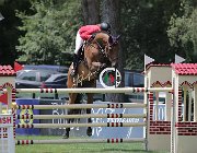 Kellnerova Kashmir CsioArJYR SS7 7349 : CSIO Giovani Arezzo, Kashmir, Kellnerova Anna, foto Stefano Secchi ©