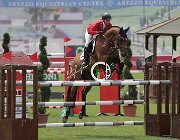 Kellnerova Kashmir CsioArJYR SS7 7922 : CSIO Giovani Arezzo, Kashmir, Kellnerova Anna, foto Stefano Secchi ©