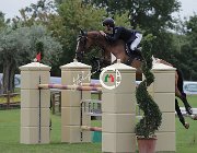 Leonardi Lasciva CsioArJYR SS7 7860 : CSIO Giovani Arezzo, Lasciva del Terriccio, Leonardi Matteo, foto Stefano Secchi ©